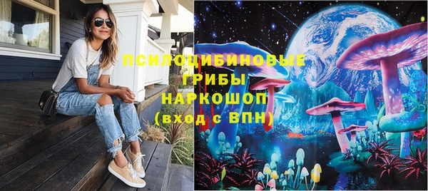 spice Мегион