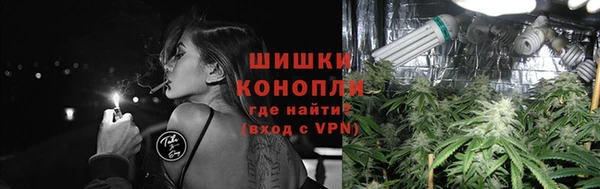 МДПВ Волоколамск