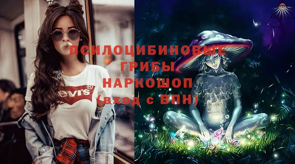spice Мегион