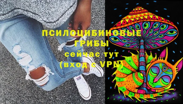 spice Мегион
