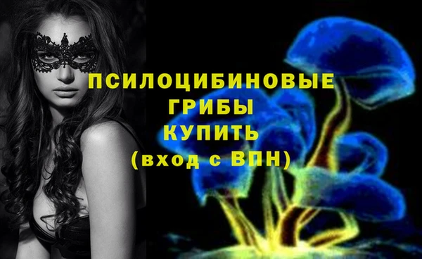 твердый Медногорск