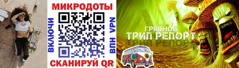 даркнет сайт  Вихоревка  мега ссылка  Псилоцибиновые грибы Psilocybe 